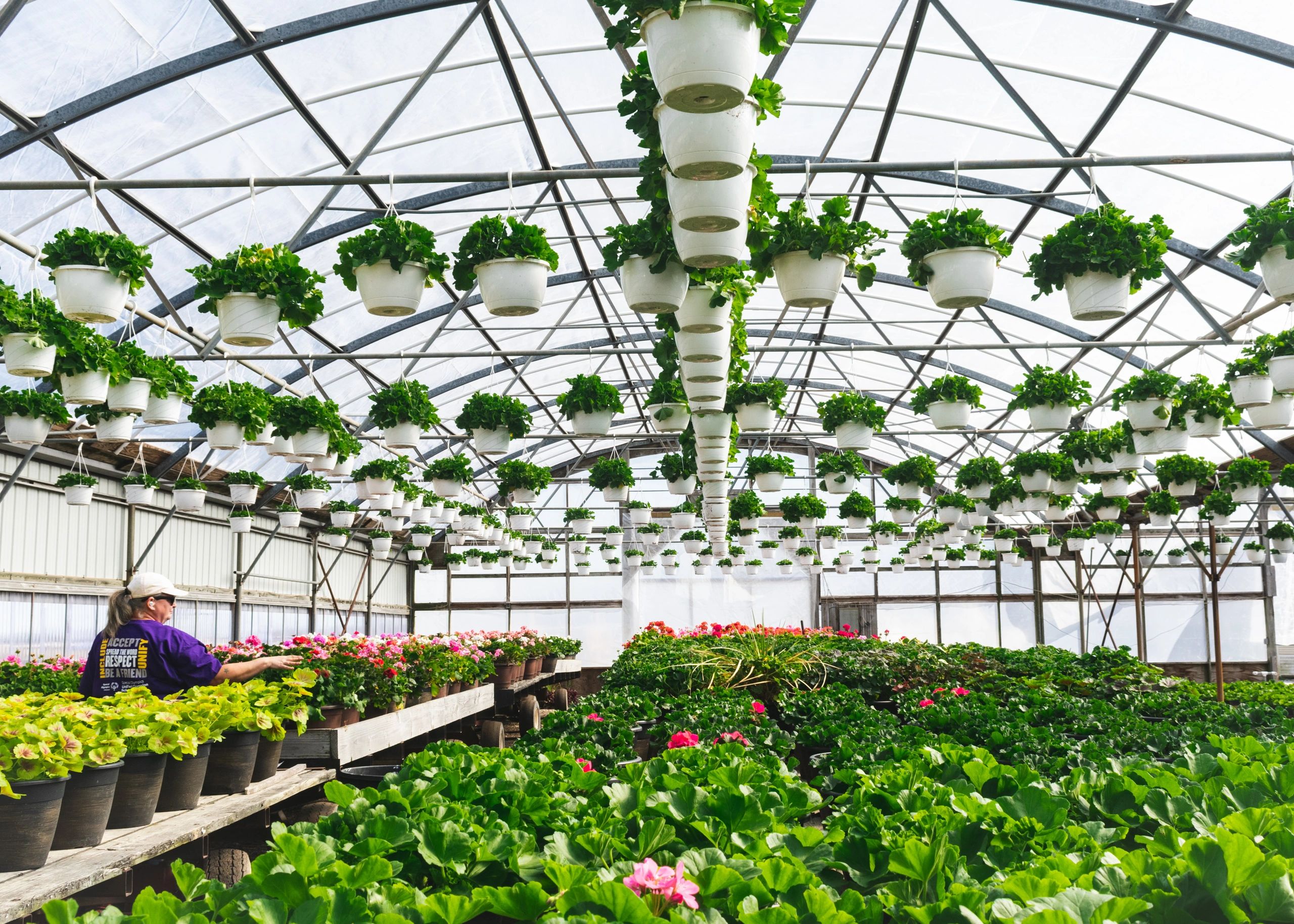 Blessing Greenhouses & Compost Facility Inc.